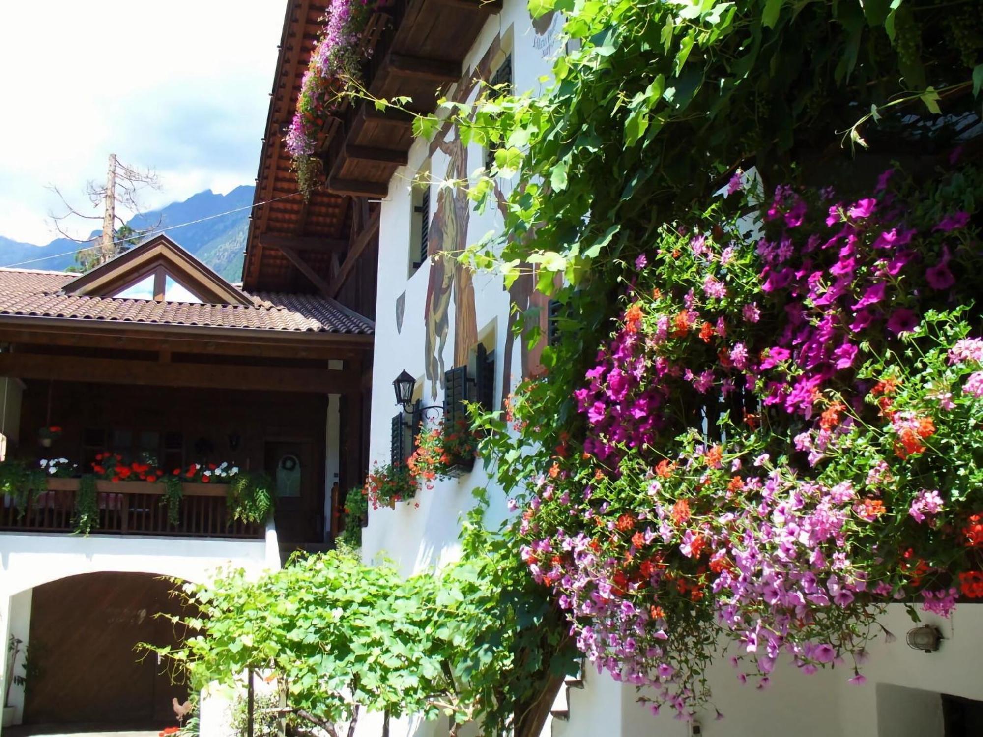 Carpe Diem Merano